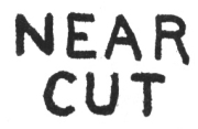 nearcut3.jpg (11419 bytes)